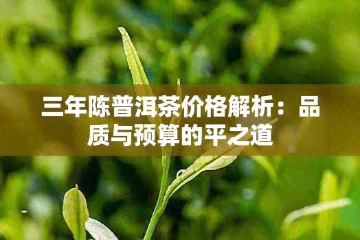 三年陈普洱茶价格解析：品质与预算的平之道