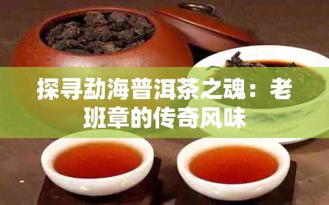 探寻勐海普洱茶之魂：老班章的传奇风味