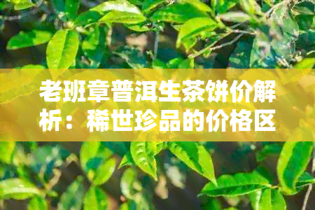 老班章普洱生茶饼价解析：稀世珍品的价格区间及其市场行情