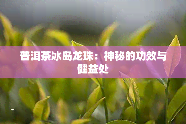 普洱茶冰岛龙珠：神秘的功效与健益处