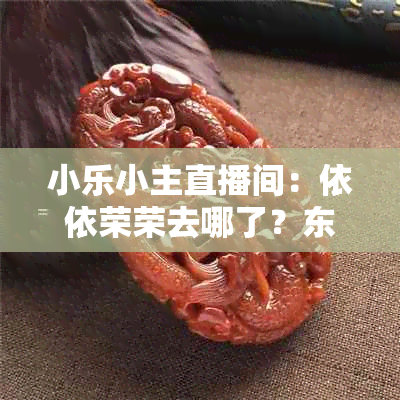 小乐小主直播间：依依荣荣去哪了？东西质量怎样？