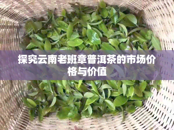 探究云南老班章普洱茶的市场价格与价值