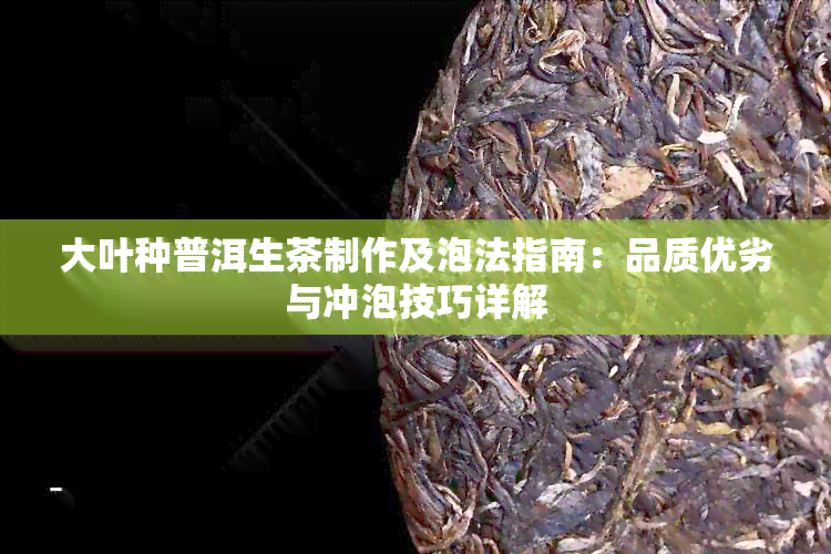 大叶种普洱生茶制作及泡法指南：品质优劣与冲泡技巧详解