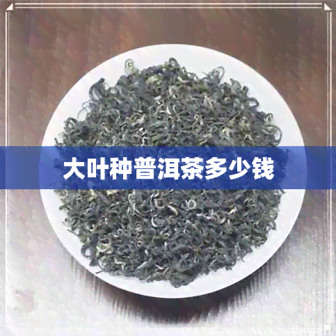 大叶种普洱茶多少钱