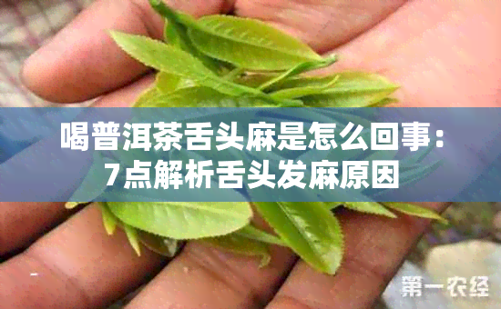 喝普洱茶舌头麻是怎么回事：7点解析舌头发麻原因