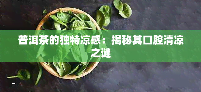 普洱茶的独特凉感：揭秘其口腔清凉之谜