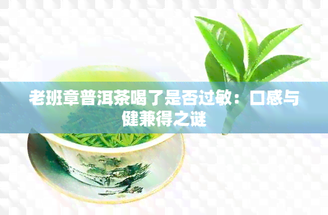 老班章普洱茶喝了是否过敏：口感与健兼得之谜