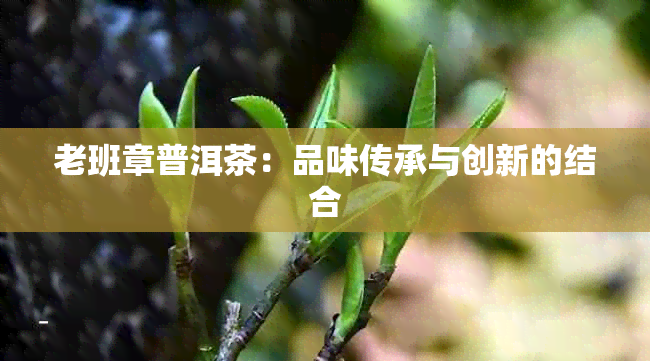 老班章普洱茶：品味传承与创新的结合