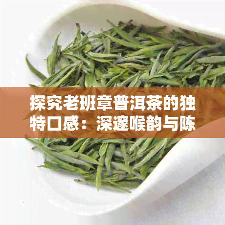 探究老班章普洱茶的独特口感：深邃喉韵与陈年风华