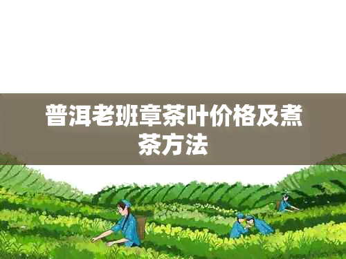 普洱老班章茶叶价格及煮茶方法