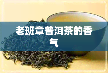 老班章普洱茶的香气