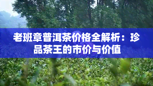 老班章普洱茶价格全解析：珍品茶王的市价与价值