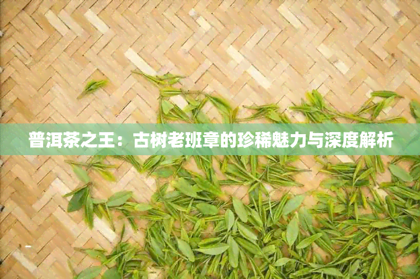 普洱茶之王：古树老班章的珍稀魅力与深度解析