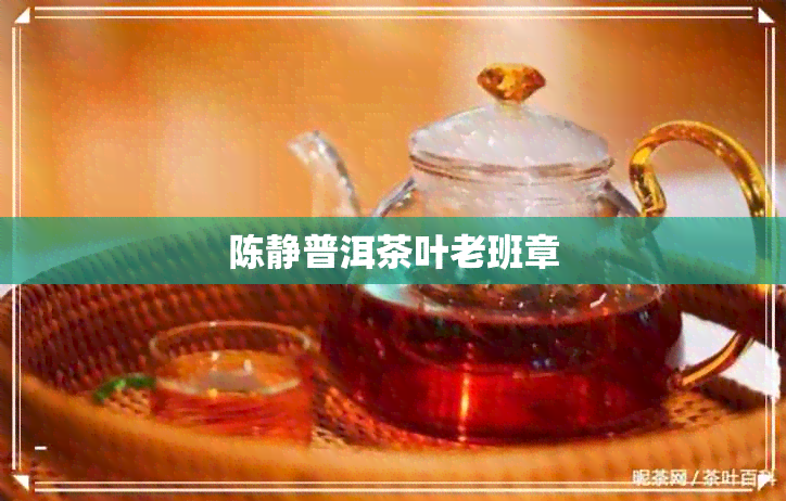 陈静普洱茶叶老班章