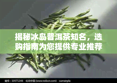 揭秘冰岛普洱茶知名，选购指南为您提供专业推荐