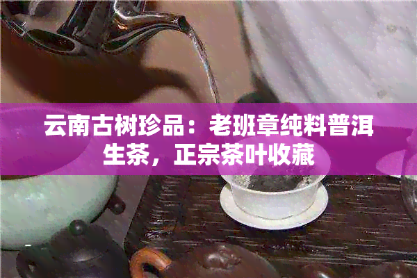 云南古树珍品：老班章纯料普洱生茶，正宗茶叶收藏