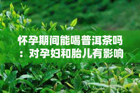 怀孕期间能喝普洱茶吗：对孕妇和胎儿有影响吗？