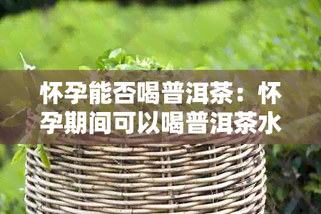 怀孕能否喝普洱茶：怀孕期间可以喝普洱茶水吗？