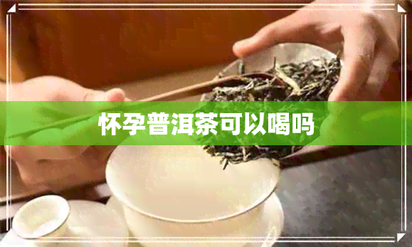 怀孕普洱茶可以喝吗