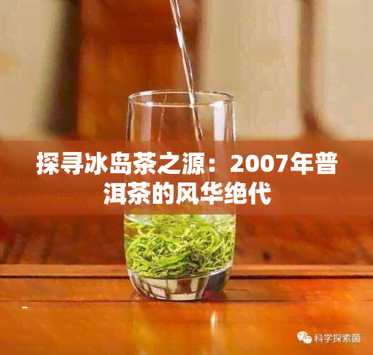 探寻冰岛茶之源：2007年普洱茶的风华绝代