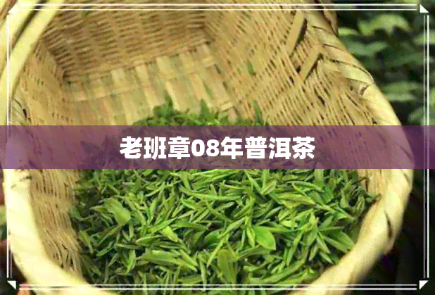 老班章08年普洱茶