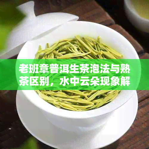 老班章普洱生茶泡法与熟茶区别，水中云朵现象解析