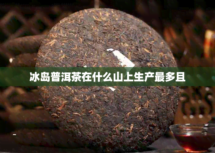 冰岛普洱茶在什么山上生产最多且