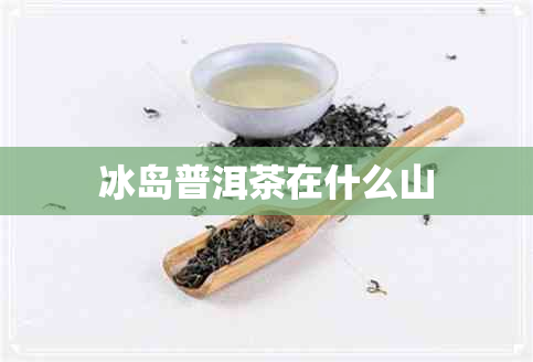 冰岛普洱茶在什么山