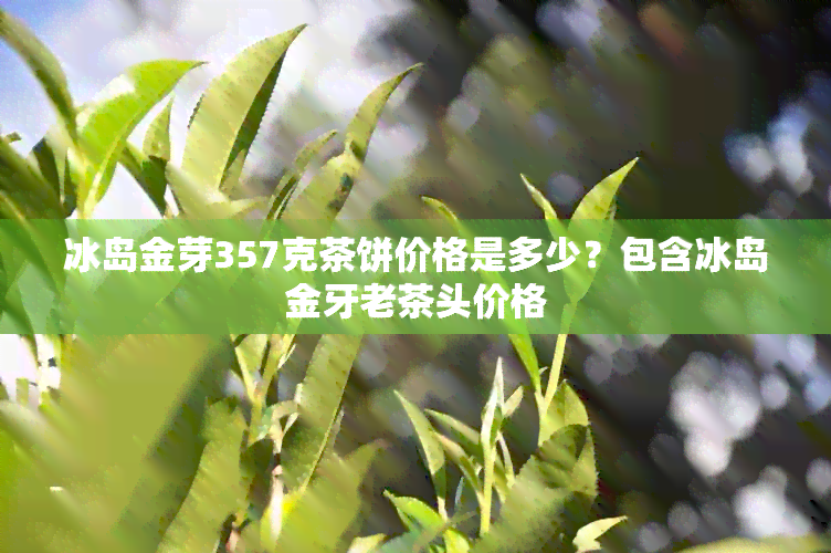 冰岛金芽357克茶饼价格是多少？包含冰岛金牙老茶头价格