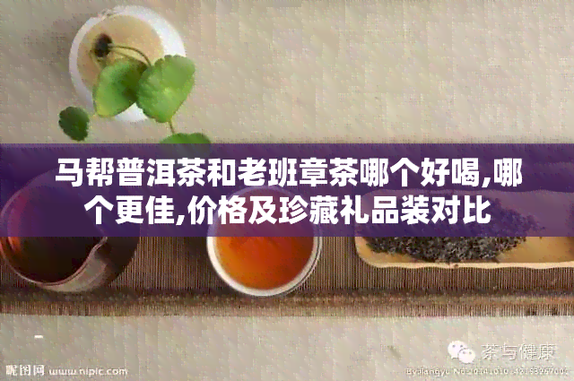 马帮普洱茶和老班章茶哪个好喝,哪个更佳,价格及珍藏礼品装对比