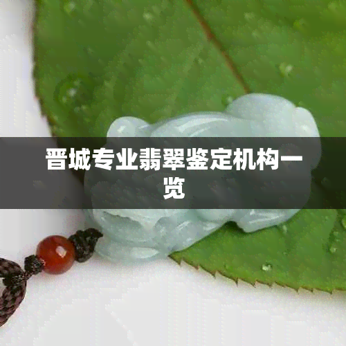 晋城专业翡翠鉴定机构一览