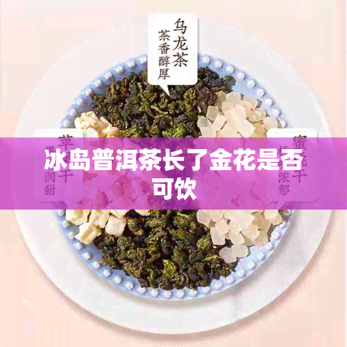 冰岛普洱茶长了金花是否可饮