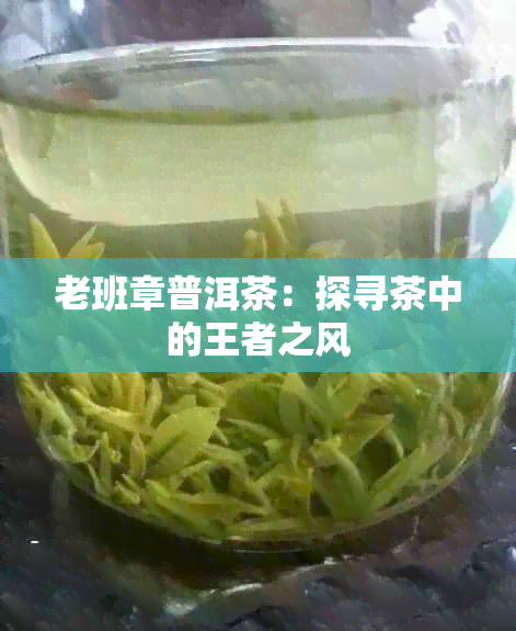 老班章普洱茶：探寻茶中的王者之风