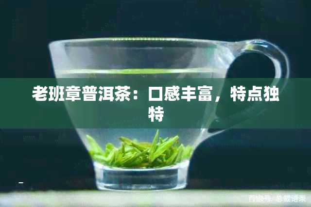 老班章普洱茶：口感丰富，特点独特