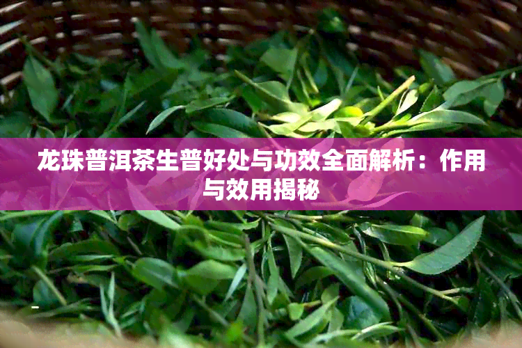 龙珠普洱茶生普好处与功效全面解析：作用与效用揭秘