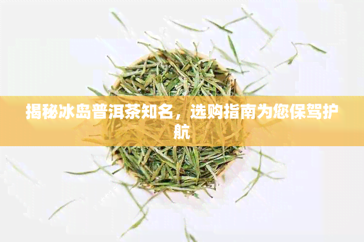 揭秘冰岛普洱茶知名，选购指南为您保驾护航