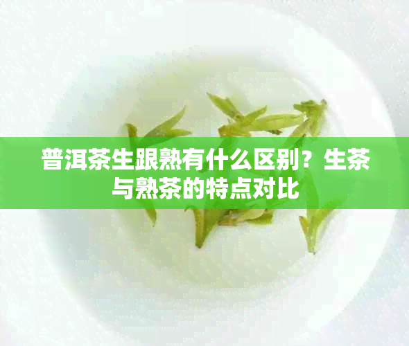 普洱茶生跟熟有什么区别？生茶与熟茶的特点对比