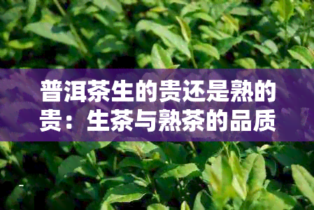 普洱茶生的贵还是熟的贵：生茶与熟茶的品质比较