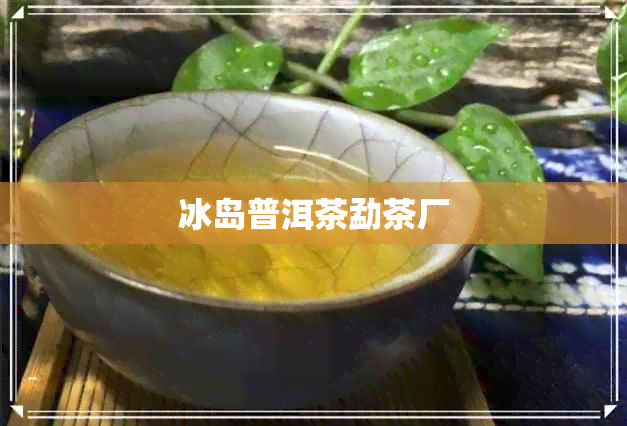 冰岛普洱茶勐茶厂