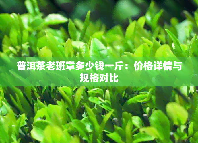 普洱茶老班章多少钱一斤：价格详情与规格对比