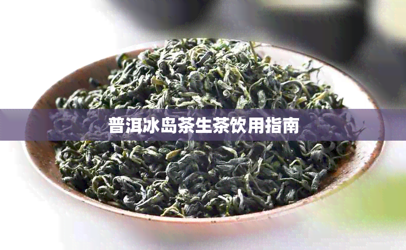 普洱冰岛茶生茶饮用指南