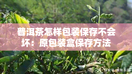 普洱茶怎样包装保存不会坏：原包装盒保存方法