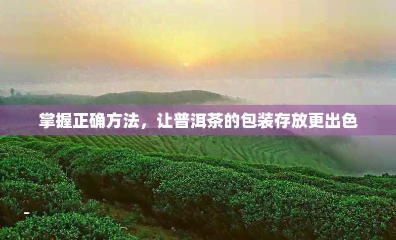 掌握正确方法，让普洱茶的包装存放更出色