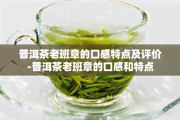 普洱茶老班章的口感特点及评价-普洱茶老班章的口感和特点