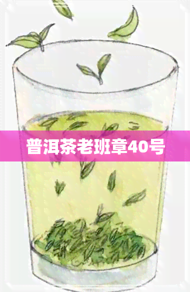 普洱茶老班章40号