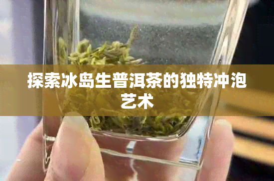 探索冰岛生普洱茶的独特冲泡艺术