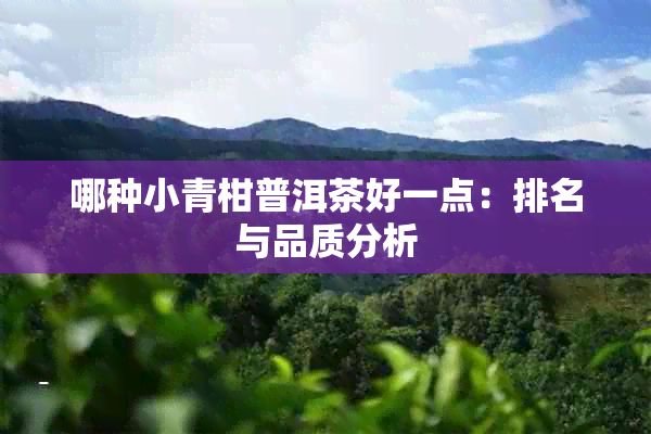 哪种小青柑普洱茶好一点：排名与品质分析