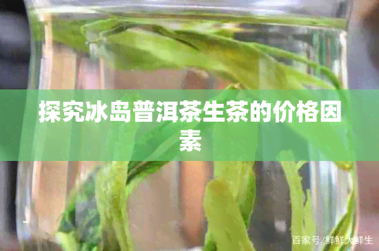 探究冰岛普洱茶生茶的价格因素