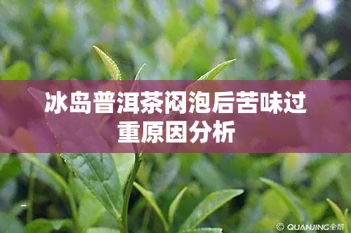 冰岛普洱茶闷泡后苦味过重原因分析