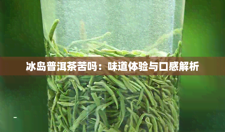 冰岛普洱茶苦吗：味道体验与口感解析